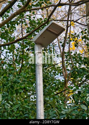 Eine Ersatz-Straßenleuchte aus Stahl mit LED-Beleuchtung mit geringer Leistungsaufnahme, die Teil eines Energiesparprogramms der örtlichen Behörden ist. Stockfoto