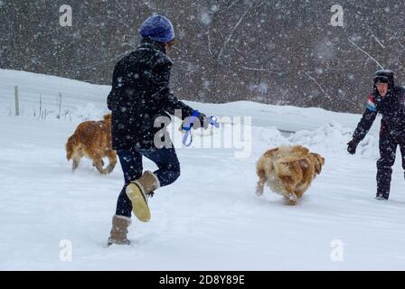 Zwei Menschen laufen mit glücklichen Hunden durch den fallenden Schnee Stockfoto