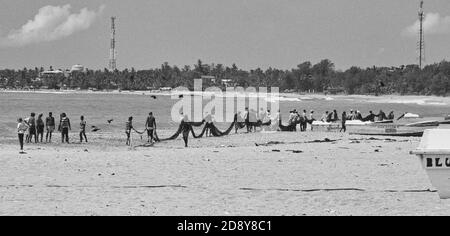 Fischer, die ihren täglichen Fang am Strand machen Stockfoto