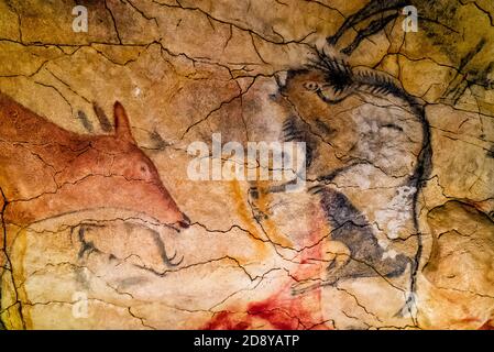 Santillana del Mar, Kantabrien / Spanien - 29. Oktober 2020: Prähistorische Tierzeichnungen an der Decke der Altamira-Höhlen in Nordspanien Stockfoto