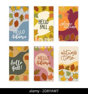 Vector Set von Social Media Geschichten Design Banner, Herbst Thema, Gold und rote Blätter, Herbstblumen und Beeren. Blumen, Pflanzen Hintergründe mit Kopie Stock Vektor