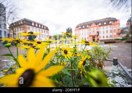 Mainz, Deutschland. November 2020. Blumen blühen im leeren Stadtzentrum. Die von Bund und Ländern beschlossene teilweise Sperrung ist in Kraft getreten. Quelle: Andreas Arnold/dpa/Alamy Live News Stockfoto