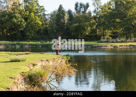 Testwood Forelle Fischerei, Hampshire, England, Vereinigtes Königreich. Stockfoto