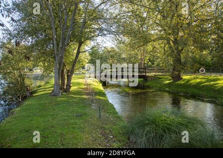 Testwood Forelle Fischerei, Hampshire, England, Vereinigtes Königreich. Stockfoto