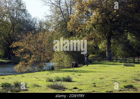 Testwood Forelle Fischerei, Hampshire, England, Vereinigtes Königreich. Stockfoto