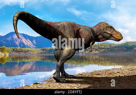 Zhuchengtyrannus, eine Gattung von Tyrannosaurier theropod Dinosaurier aus der späten Kreidezeit von China. Stockfoto