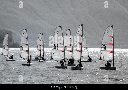 Viele Segelboote auf dem Lago Maggiore mit Sonnenlicht in Ascona, Schweiz. Stockfoto