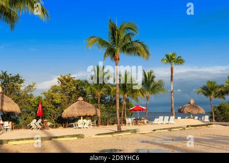 Wunderschöner Strand und Pier im Touristenresort am sonnigen Morgen in Key Largo, Florida, USA. Stockfoto