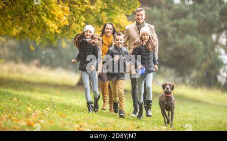 Kinder laufen an einem Herbsttag mit Eltern und einem deutschen Kurzhaarhund im Freien. Stockfoto