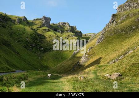 Winnats Pass, eine Kalksteinschlucht im Peak District, Derbyshire Stockfoto