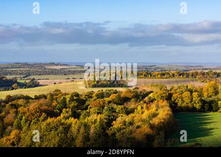 Warmes Licht am späten Nachmittag erhellt Herbstfarben auf den Bäumen am Farley Mount, Hampshire, England. Stockfoto