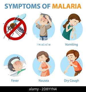 Symptome der Malaria Cartoon Stil Infografik Illustration Stock Vektor