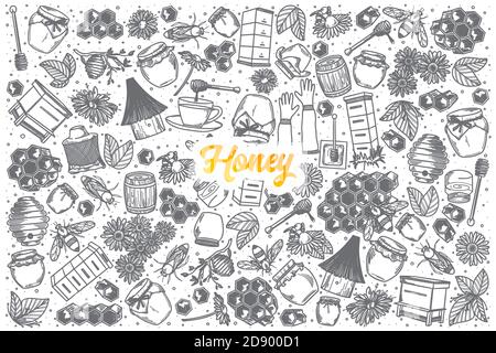 Handgezeichneter Honey Doodle Set Hintergrund mit orangenen Schriftzügen in vektor Stockfoto