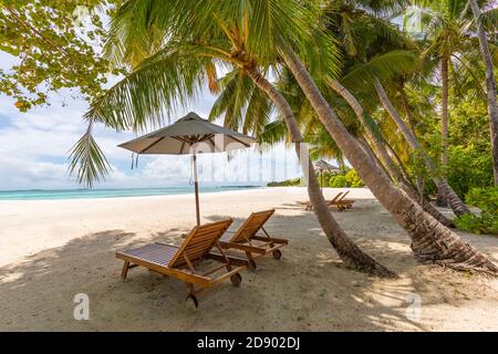 Zwei Liegen am idyllischen, tropischen, weißen Sandstrand. Schatten von den Palmen. Kein Rauschen, sauberes, extrem detailliertes 3d-Rendering. Konzept für Urlaub Stockfoto