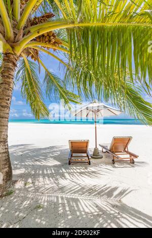 Wunderschöner tropischer Strand. Weißer Sand Coco Palmen Reise Tourismus breiten Panorama Hintergrund. Unglaubliche Strandlandschaft Luxus Insel Resort Urlaub Stockfoto