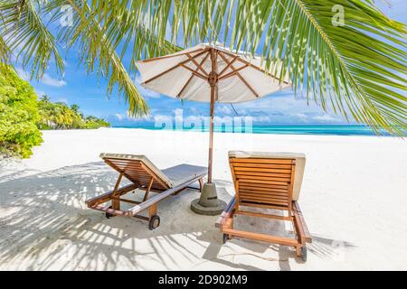 Wunderschöner tropischer Strand. Weißer Sand Coco Palmen Reise Tourismus breiten Panorama Hintergrund. Unglaubliche Strandlandschaft Luxus Insel Resort Urlaub Stockfoto