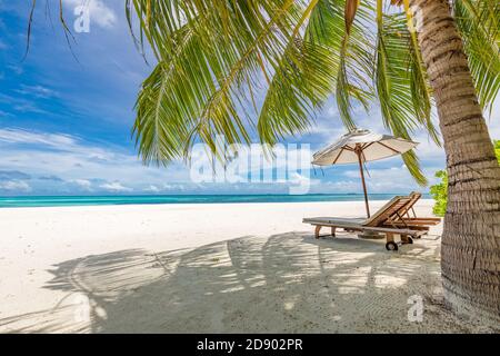 Wunderschöner tropischer Strand. Weißer Sand Coco Palmen Reise Tourismus breiten Panorama Hintergrund. Unglaubliche Strandlandschaft Luxus Insel Resort Urlaub Stockfoto