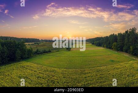 Ländliche Landschaft am Abend mit einem schönen brennenden Himmel. Luftaufnahme. Panoramablick auf Kiefernwald, Felder bei Sonnenuntergang Stockfoto