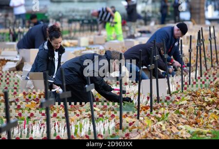 London, Großbritannien. November 2020. Vorbereitungen für den Gedenkgottesdienst in der Westminster Abbey. Hunderte von Kreuzen mit Mohnblumen liegen auf dem Gelände. Vorbereitungen für den Gedenktag. Westminster Abbey. Kredit: Mark Thomas/Alamy Live Nachrichten Stockfoto