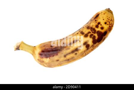 Eine überreife Banane auf weißem, isoliertem Hintergrund Stockfoto