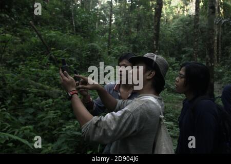 Ein Team von Naturschutzarbeitern, die eine Felduntersuchung im Regenwald durchführen, der Teil des Lebensraums der fragmentierten Sumatra-Orang-Utan-Population in der Regentschaft Central Tapanuli, Provinz Nord-Sumatra, Indonesien ist. Stockfoto