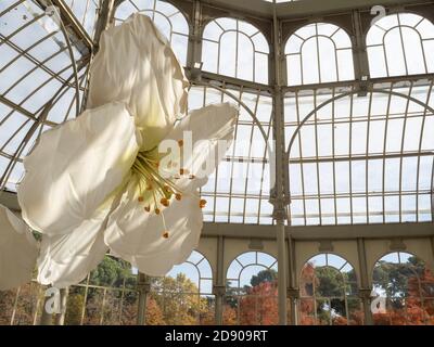 Madrid, Spanien. November 2020. Riesige Stoffblumen von Alvaro Urbano für Petrit Halilajs Ausstellung im Palacio de Cristal Gebäude im Buen Retiro Park in Madrid. © Valentin Sama-Rojo/Alamy Live News. Stockfoto