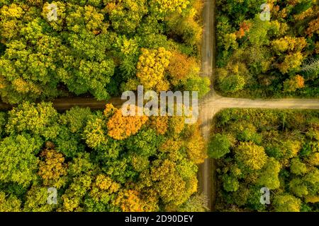 Die Überquerung eines Waldes sieht aus wie eine natürliche Flagge, Drohne im Herbst direkt von oben geschossen. Stockfoto