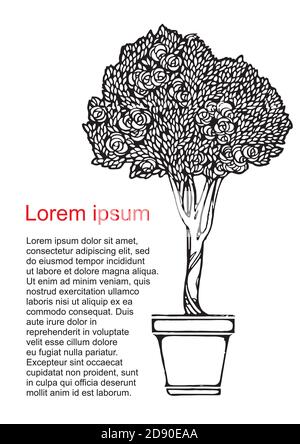 Baum in einem Blumentopf. Silhouette einer Zimmerpflanze. Home Gartenarbeit, Hauspflanzenkonzept. Für Text platzieren. Ideal für Banner, Poster, Blumenladen. Vektor-il Stock Vektor