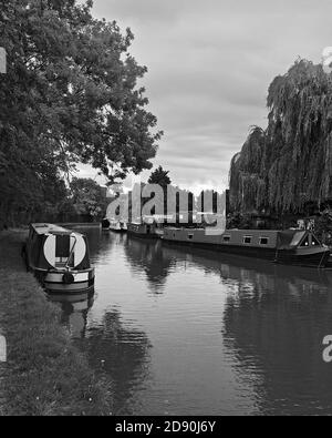 Kanalboote liegen auf dem Grand Union Canal in Stoke Hammond, Milton Keynes Stockfoto