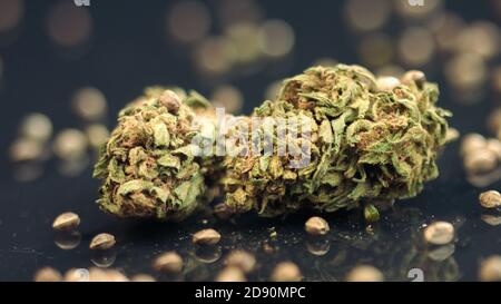 Cannabissamen mit getrockneten Knospen. Medizinisches Marihuana, Nahaufnahme. Stockfoto