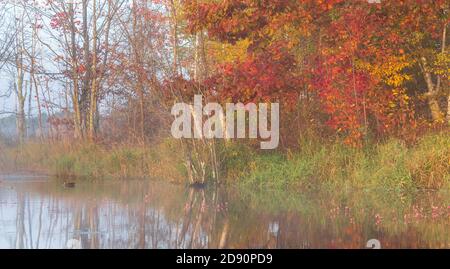 Herbst auf einem Wildnissee im Norden von Wisconsin. Stockfoto