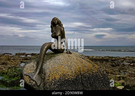 Schottlands Meerjungfrauen die Felsen bei niedrigem Tideat Balintore an der Ostküste von Easter Ross. Stockfoto