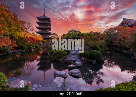 Sonnenuntergang über alten hölzernen Pagode Toji Tempel im Herbstgarten, Kyoto, Japan. Stockfoto