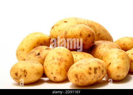 Haufen Maris Piper Kartoffeln isoliert auf weißem Hintergrund Stockfoto