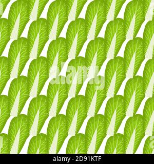 Illustration Muster chinakohl, Gemüsesalat für Robbe. Gemüse Muster bestehend aus schönen chinesischen Kohl, viele Salat. Einfach bunt Stock Vektor