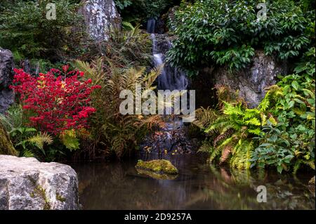 Wasserfall und Teich im Kubota Garden in Seattle, Washington, USA Stockfoto