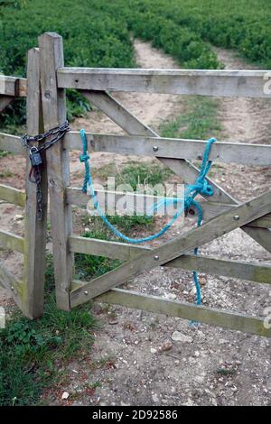 Ein 5-Stab-Holztor am Eingang zu einem Feld, kaum stehend und durch eine Kette und ein Zahlenschloss zusammengehalten. An einem Tor ist ein blaues Seil befestigt. Stockfoto