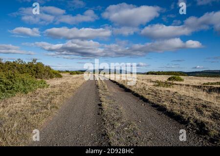 Jagdgebiet von Sonsaz, Cantalojas, Guadalajara, Spanien Stockfoto