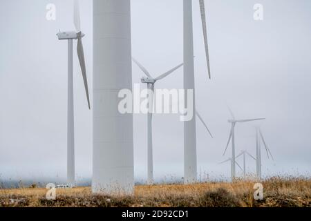 Windpark, Sierra de Pela, Spanien Stockfoto