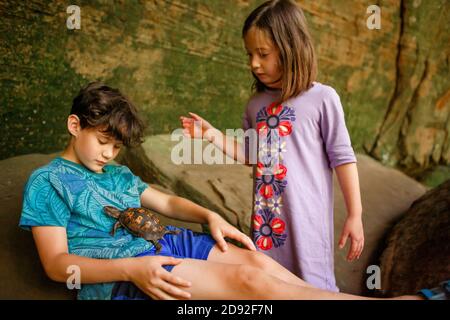 Ein Junge lehnt sich an eine Felswand und hält eine kleine Schildkröte Mit seiner Schwester Stockfoto