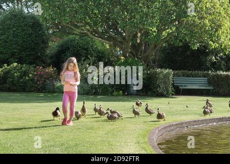 Junges Mädchen, das Enten neben einem Teich im Park füttert Stockfoto