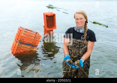 Weibliche Muschelzüchter im Wasser hält Austern in den Händen Stockfoto