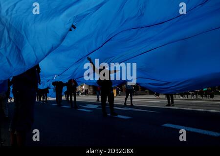 Madrid, Spanien; 02/11/2020.- Bewegung gegen das Aussterben der Klimakrise Rebellion (XR) hat heute die Gran Vía von Madrid mit einer Menschenflut besetzt, um die wachsende Zahl von Menschen, die von dem Anstieg des Meeresspiegels infolge der ökologischen Notlage betroffen sind, sichtbar zu machen.Sie sind inspiriert von der Arbeit «divisor», Von der brasilianischen Künstlerin Lygia Pape, um eine auffällige zivile Ungehorsam Aktion zu erreichen. Etwa dreißig Menschen marschieren unter einer 150 Quadratmeter großen Leinwand "Wir sind mit Wasser bis zum Hals", sagen sie aus der Bewegung sie darauf hinweisen, dass die Zahl der Klima Vertriebenen lag bei 25 Millionen im Jahr 2019, und t Stockfoto