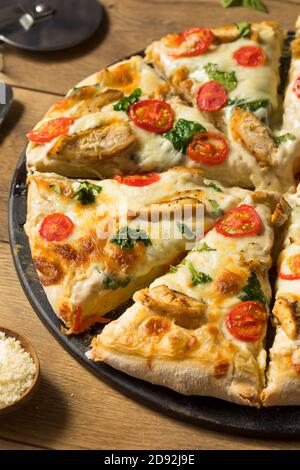 Hausgemachte Chicken Alfredo Pizza mit Tomaten und Basilikum Stockfoto
