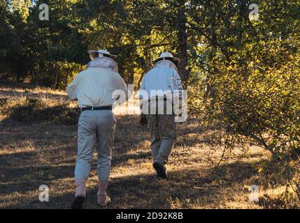 Zwei Imker, die in Schutzkleidung gegen die Bienenstöcke gehen Bienenstiche, um den Arbeitstag auf einem sonnigen beginnen Tag Stockfoto