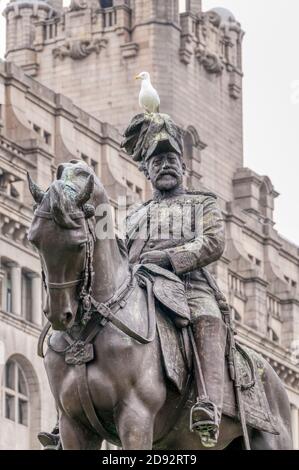 Reiterstatue von König Edward VII am Liverpool Pier Head. Mit einer Möwe auf dem Kopf. Stockfoto