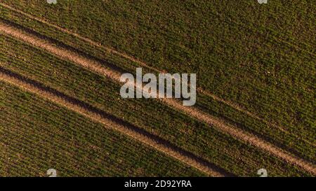 Drohnenfotografien im Herbst mit einer mavic-Luft gemacht. Wurde erkannt, als das Wetter hell und der Himmel klar war. Das Wetter gab eine schöne natürliche Beleuchtung. Stockfoto