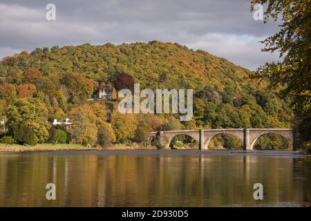 Herbstfarben in Dunkeld, Perthshire, Schottland, Großbritannien Stockfoto