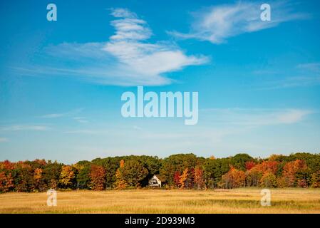 Herbstlaub und Spiegelung in Maine Landschaft. Stockfoto