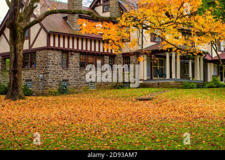 Ein großes Cobble und Holz Haus mit einem Rasen Bedeckt mit leuchtend gelben Herbstblättern Stockfoto